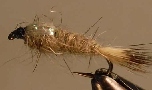 Hare's Ear - Flashback