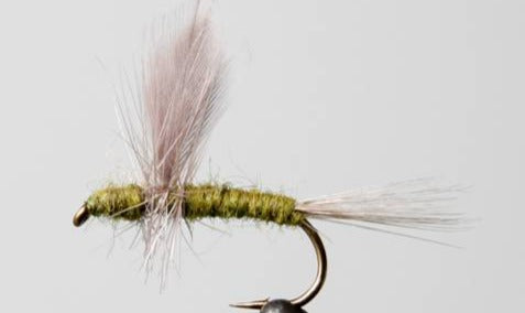 Blue Wing Olive - Thorax