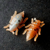 0.5" Half Inch Micro Beetle "Toe Biter"