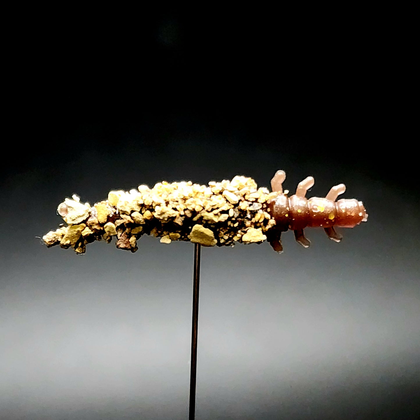 Jar of 1.3" Caddis Fly Larvae "Stream Weaver"