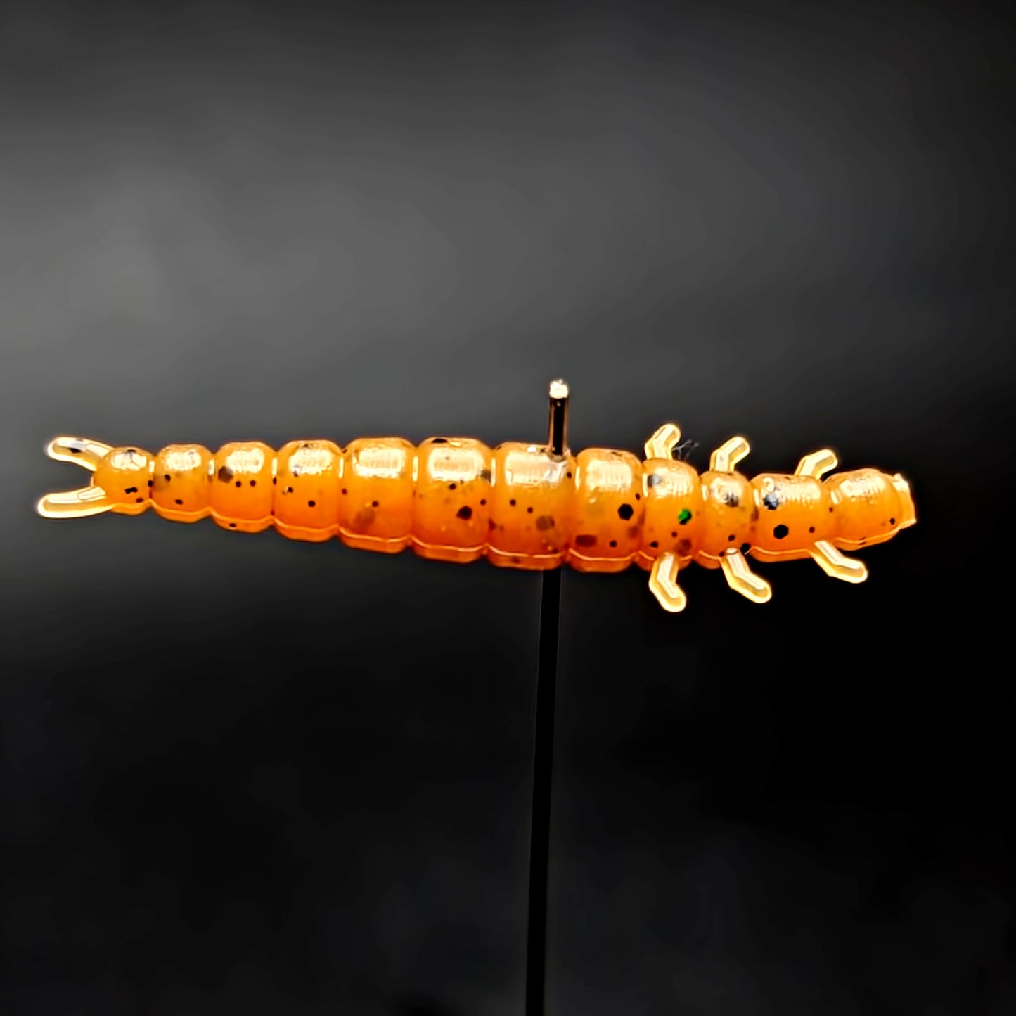 Jar of 1.3" Caddis Fly Larvae "Stream Weaver"