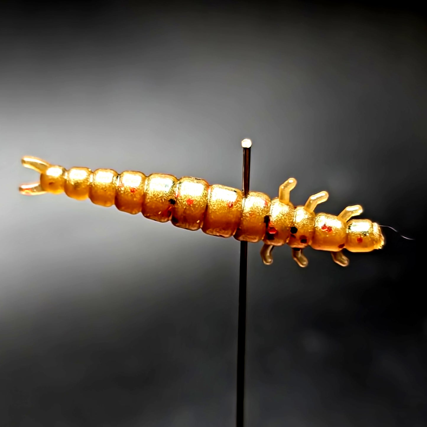 Jar of 1.3" Caddis Fly Larvae "Stream Weaver"