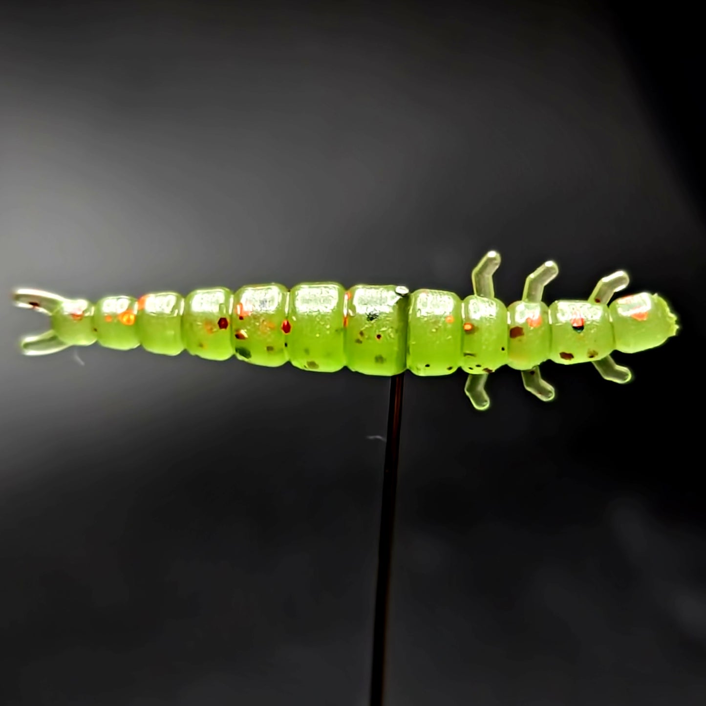 Jar of 1.3" Caddis Fly Larvae "Stream Weaver"