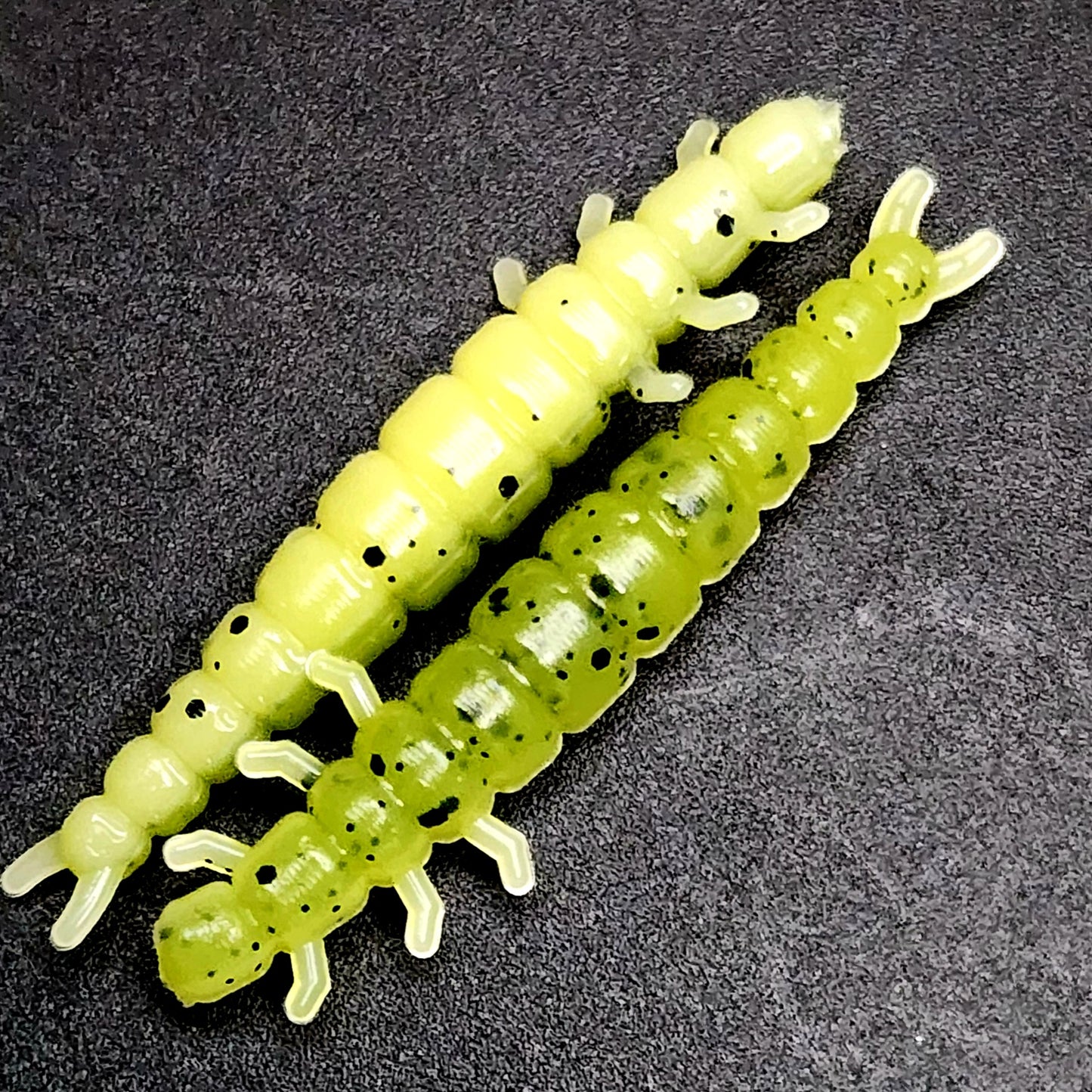 Jar of 1.3" Caddis Fly Larvae "Stream Weaver"