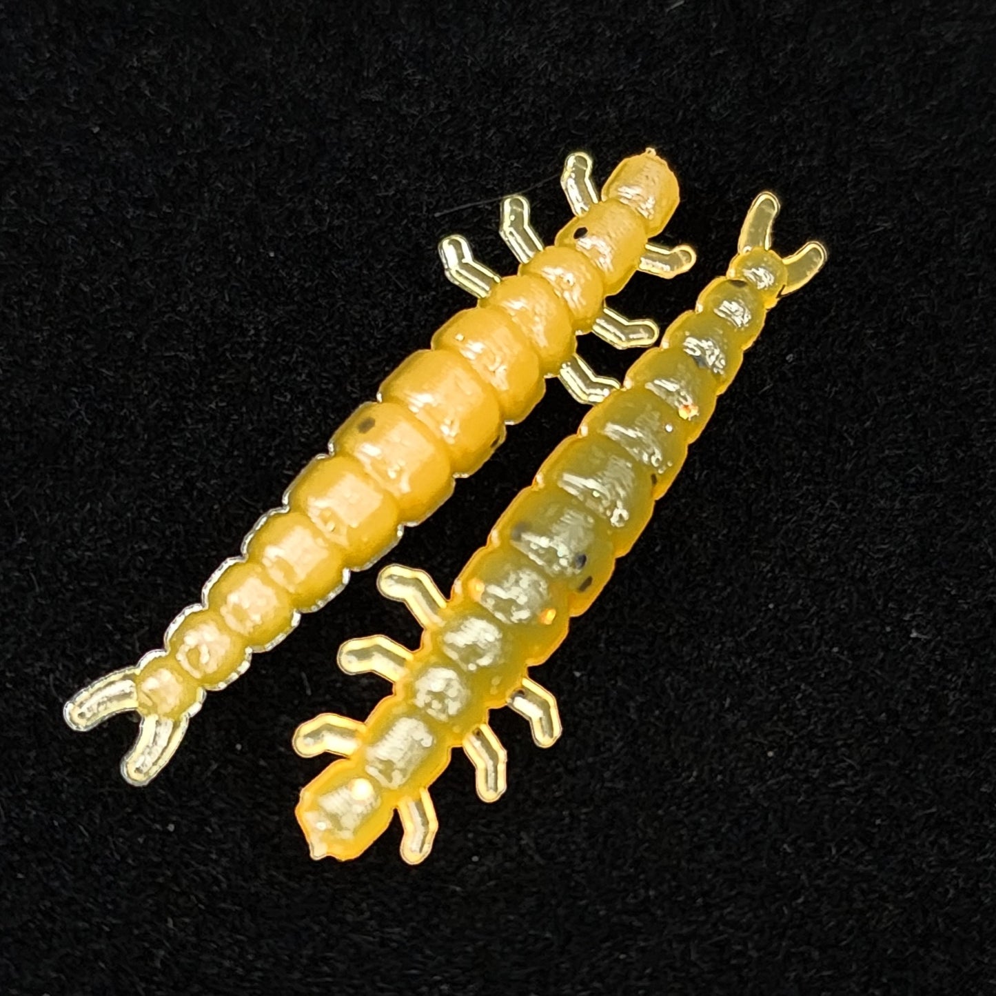 Jar of 1.3" Caddis Fly Larvae "Stream Weaver"
