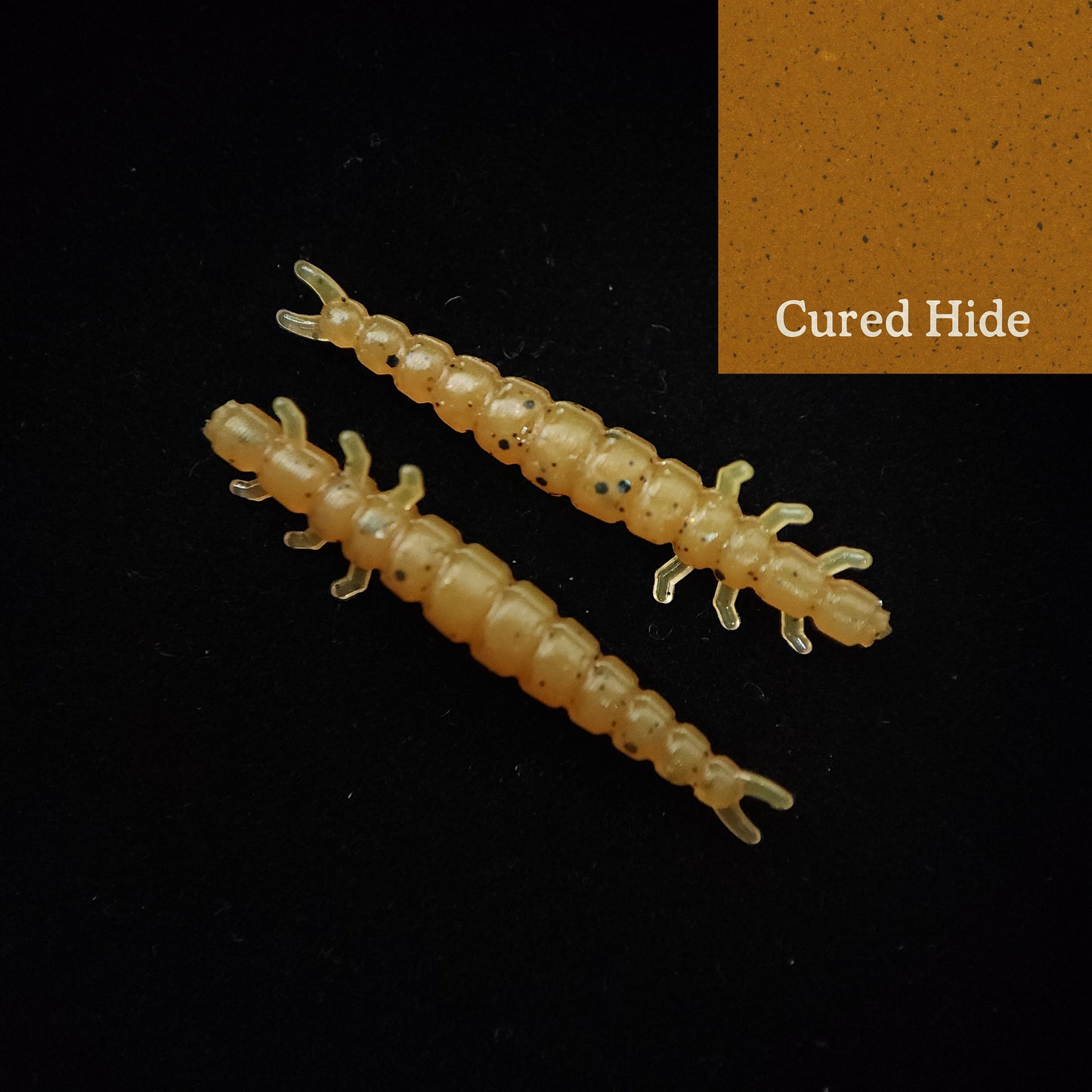 Jar of 1.3" Caddis Fly Larvae "Stream Weaver"