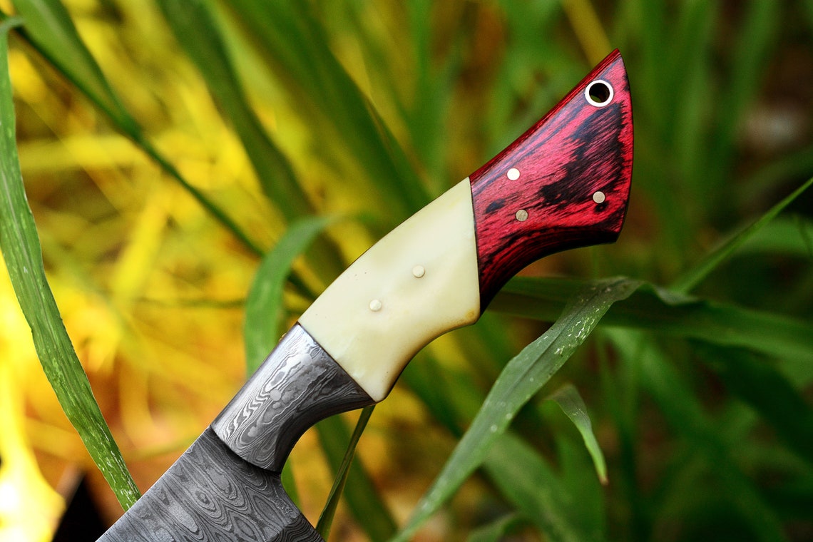 Cleaver Knife with Full Tang Damascus Steel Blade and Exotic Pakka Wood, Bone, and Damascus Bolster - 10.5 Inches