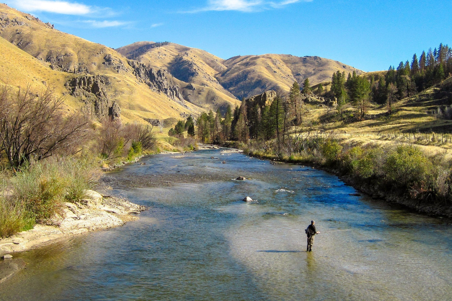 Bead Head Red Zebra Midge Still Water Nymph 1 Dozen Flies Hook Size 16