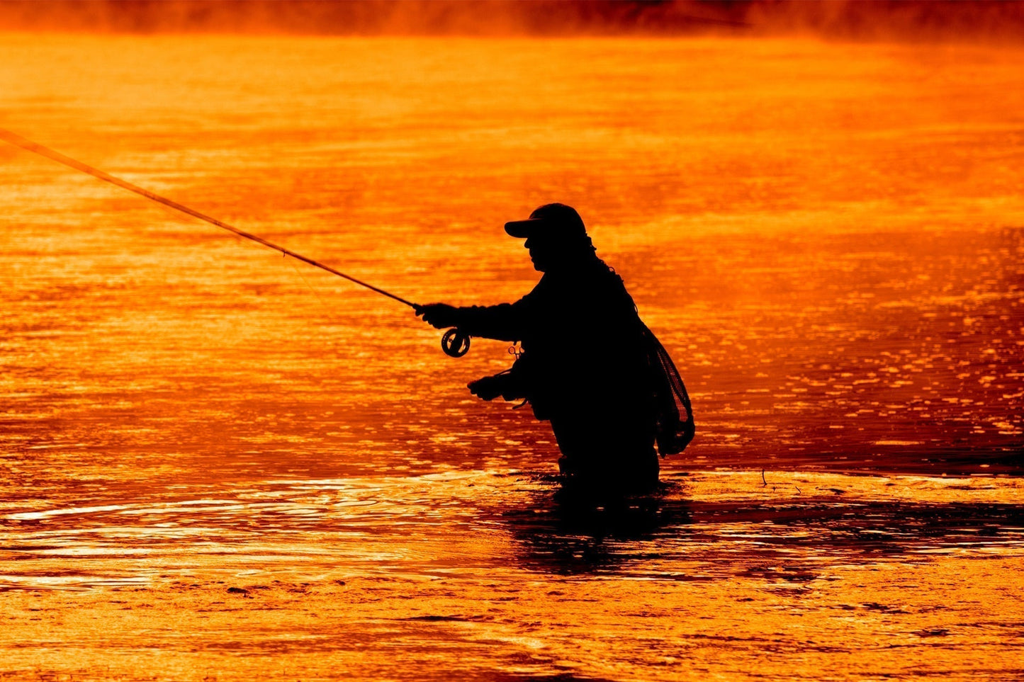 Olive Beaded Shrimp Scud Pattern - 1 Dozen Size 16 - Tailwater Lake Fly Fishing Nymph