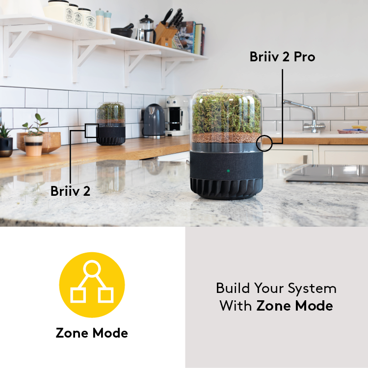 Briiv Large Room System Briiv 2 Pro and Briiv 2