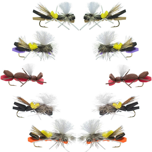 Basics Collection - Parachute Chernobyl Ant Foam Dry Fly Assortment - 10 Dry Fishing Grasshopper Dropper Flies - 5 Patterns - Hook Size 10