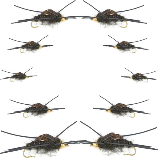 Basics Collection - Kaufmann's Black Stonefly Nymph Assortment - 10 Bead Head Rubber Legs Wet Flies - 2 Each Hook Sizes 4, 6, 8, 10, and 12