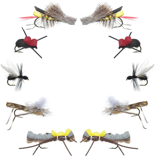 Basics Collection - Terrestrials Dry Fly Assortment - 10 Dry Fishing Flies - Hopper, Ant and Beetle Fishing Fly Patterns - Hook Sizes 10, 12 and 14