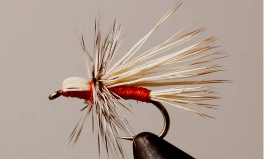 Buck Caddis - Orange