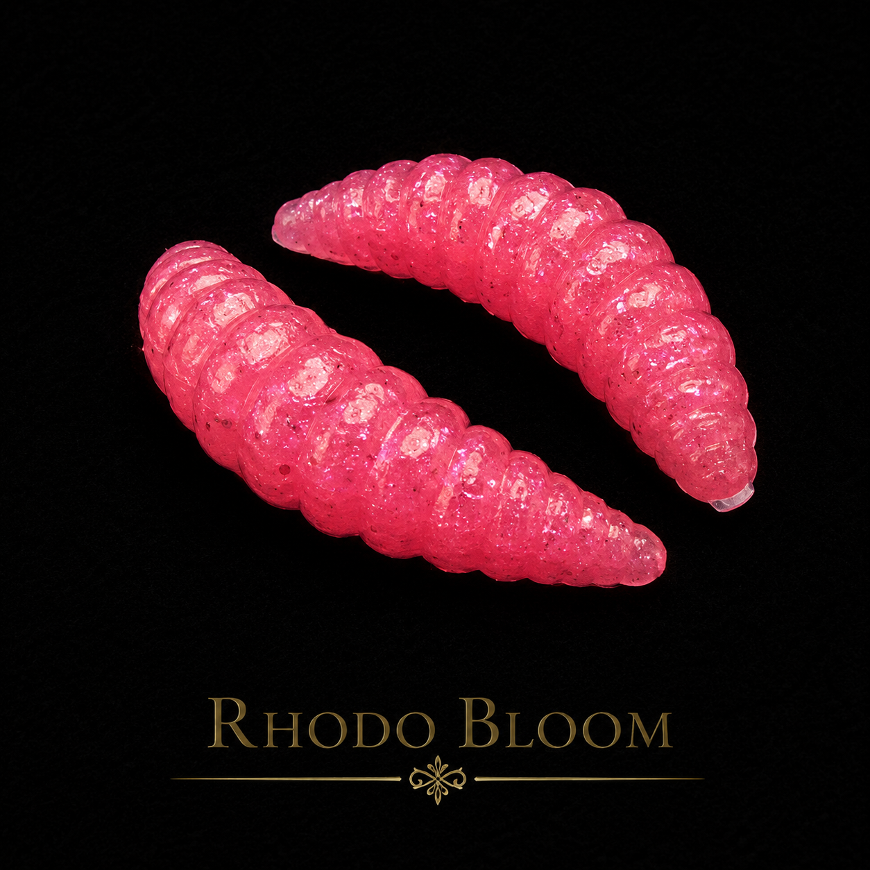 1" Waxworm "The Tater Bug" 8 Per Pack
