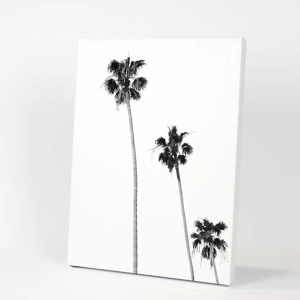 Tropical Black White Palm Trees Wall Decor