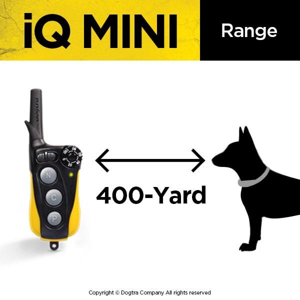 DOGTRA IQ-MINI Dog Training collar