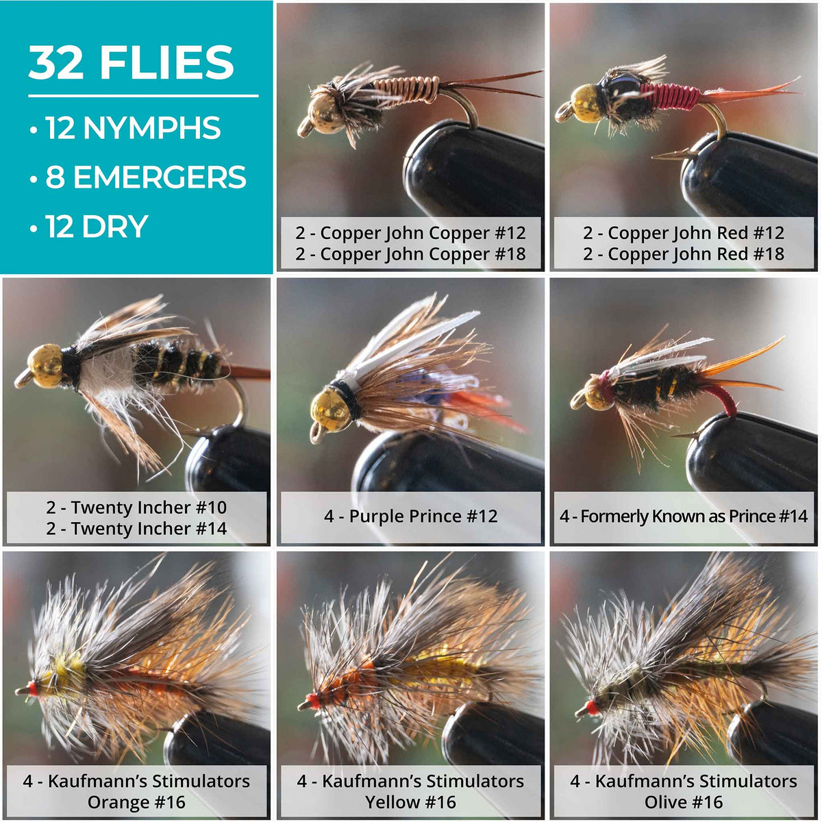 Stonefly Life Cycle 32-Pack Fly Assortments