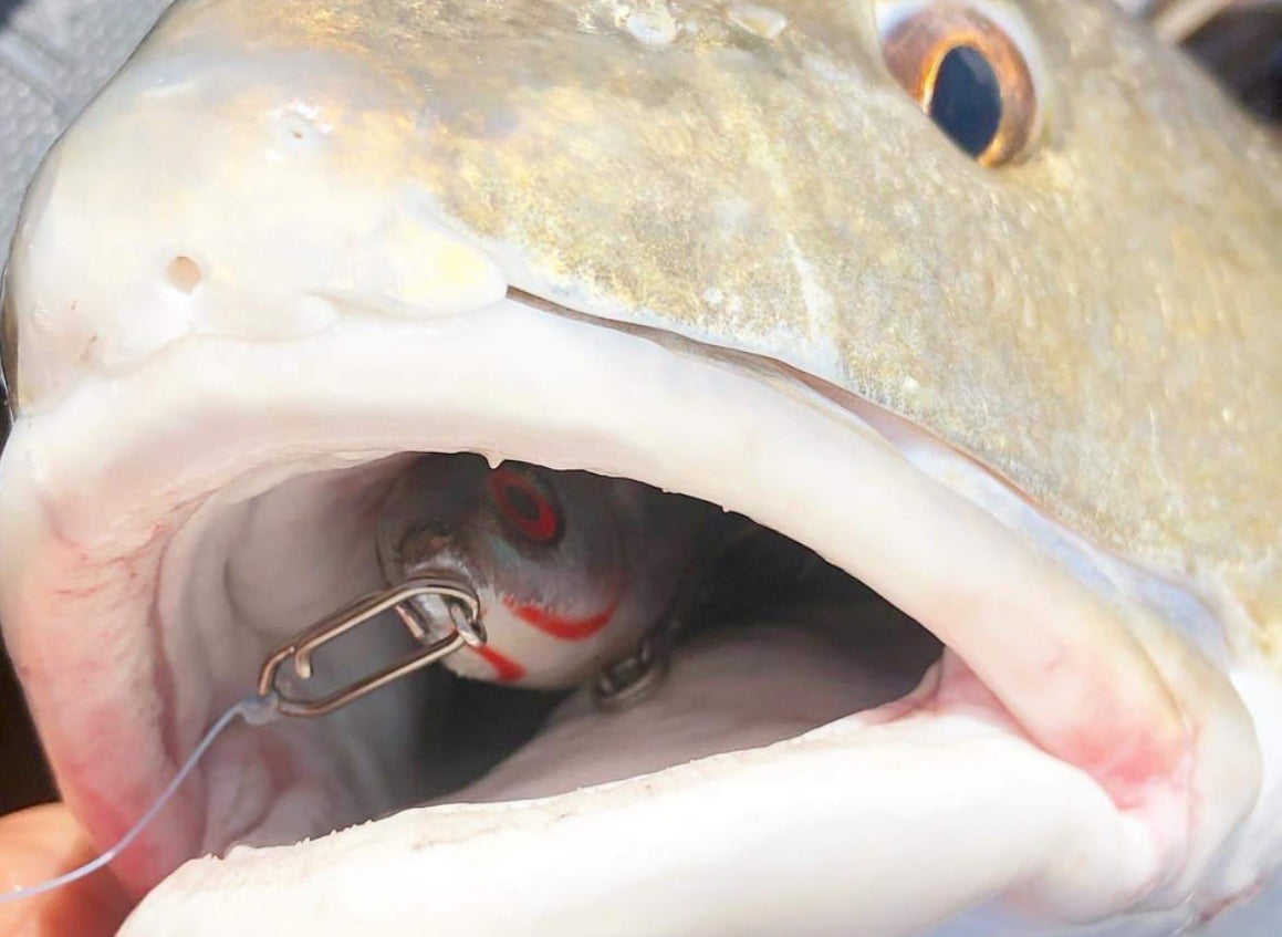 Small Speed Clips (45lbs)