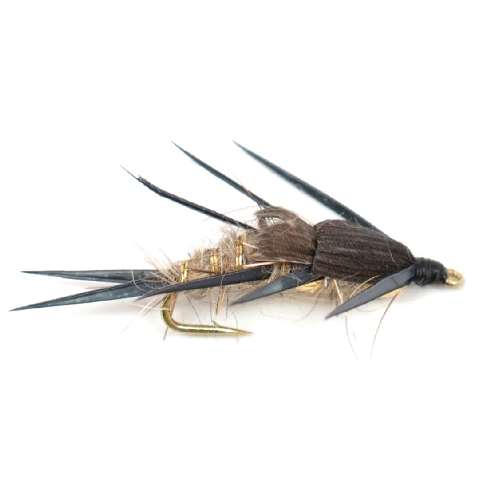 Trout Fly Assortment - Essential Western Dry and Nymph Fly Fishing Flies Collection - 1 Dozen Trout Flies with Fly Box