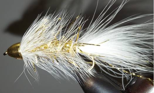 Cone Head - Goldie Bugger