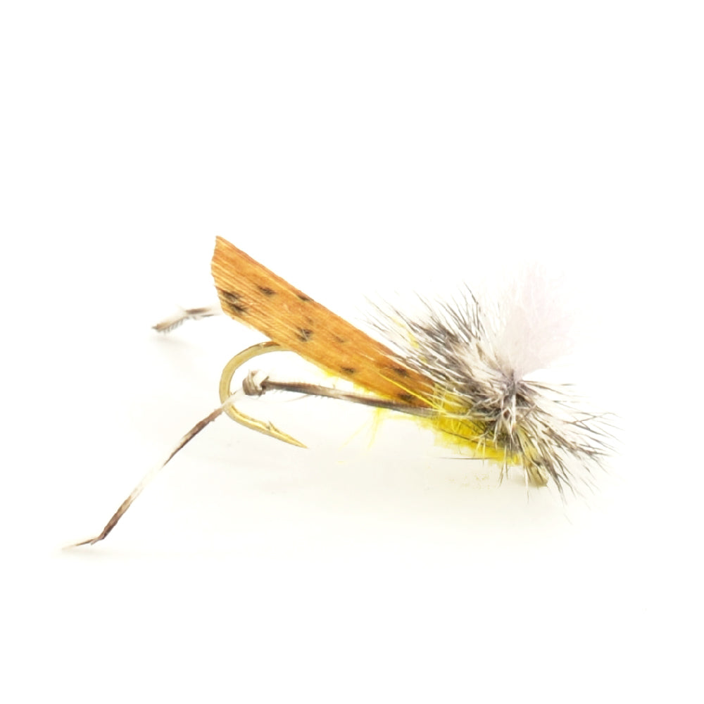 Basics Collection - Terrestrials Dry Fly Assortment - 10 Dry Fishing Flies - Hopper, Ant and Beetle Fishing Fly Patterns - Hook Sizes 10, 12 and 14
