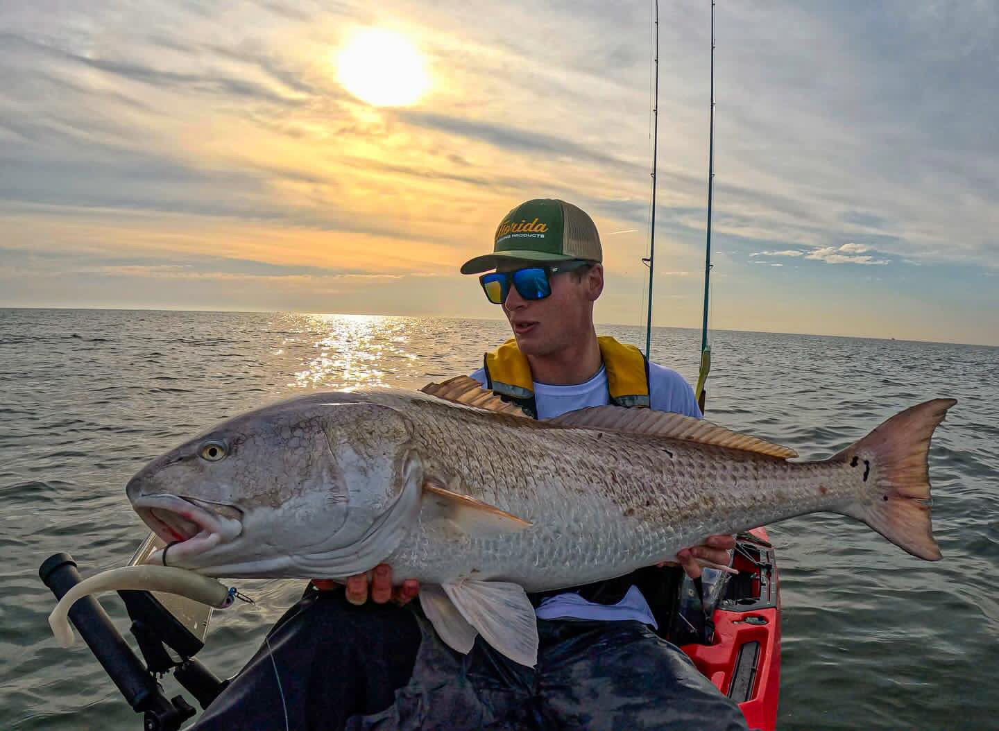 Large Speed Clips (120lbs)