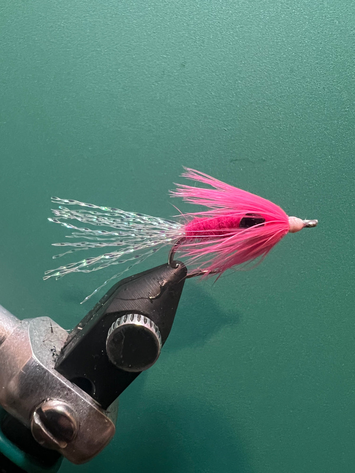 Little Shrimp - Pink