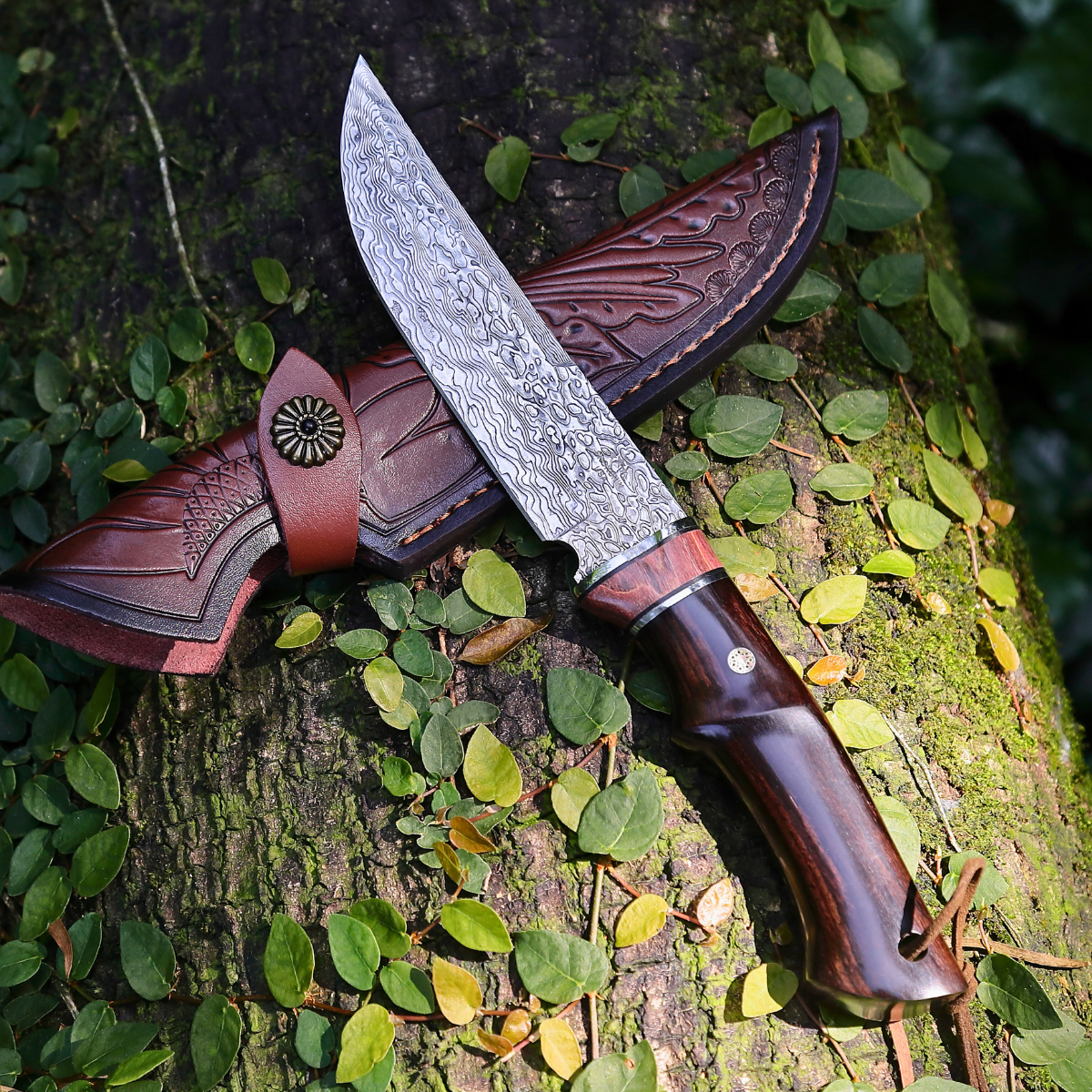 Terminator Japanese Hunting Knife with VG-10 Damacus Blade and Ebony Wood Handle
