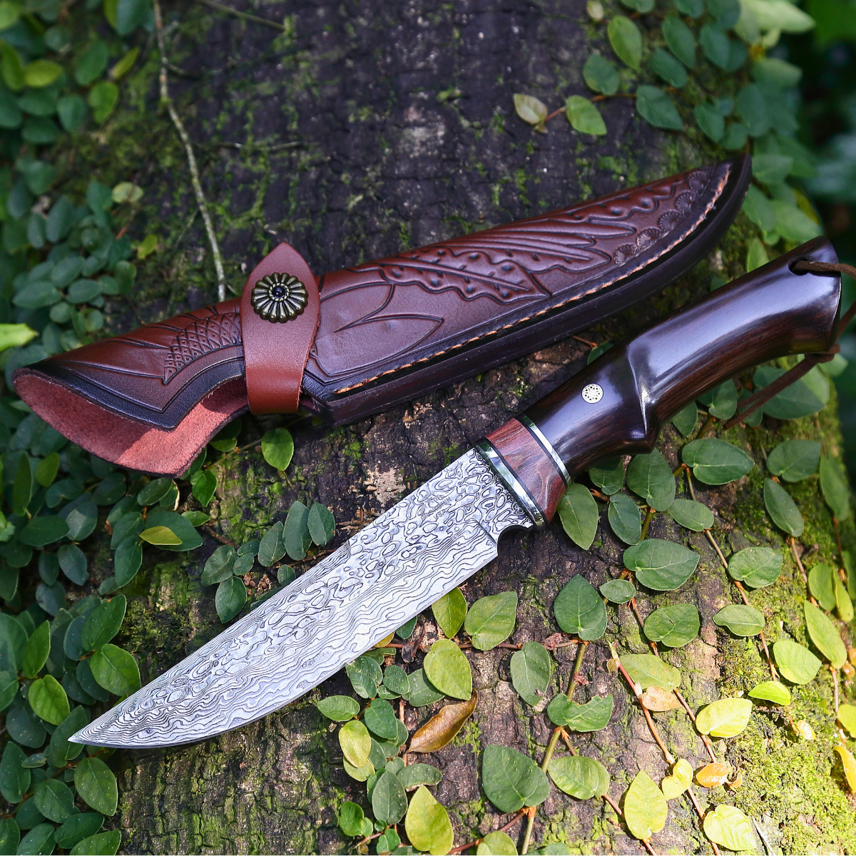 Terminator Japanese Hunting Knife with VG-10 Damacus Blade and Ebony Wood Handle