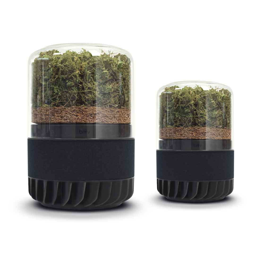 Briiv Large Room System Briiv 2 Pro and Briiv 2