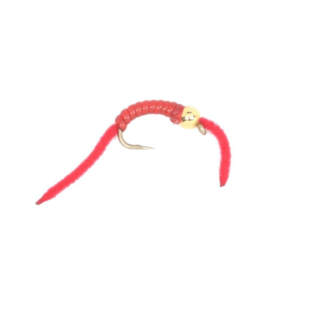 Trout Fly Assortment - San Juan Worm Power Bead Wet Nymph Fly Fishing Flies - 1 Dozen Hook Size 10 - 3 Each of 4 Patterns