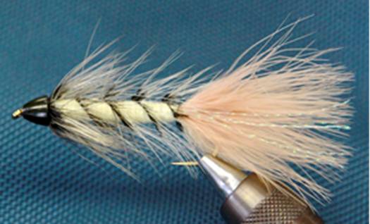 Cone Head - Bite Me Buggers