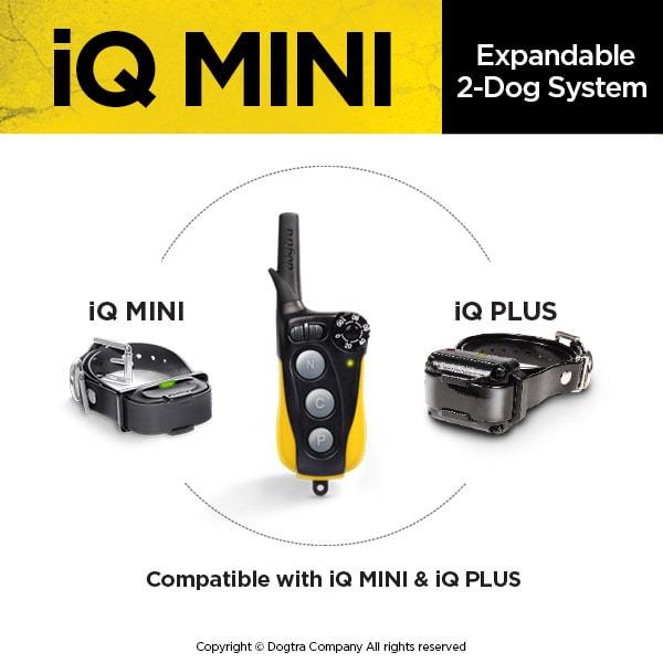 DOGTRA IQ-MINI Dog Training collar