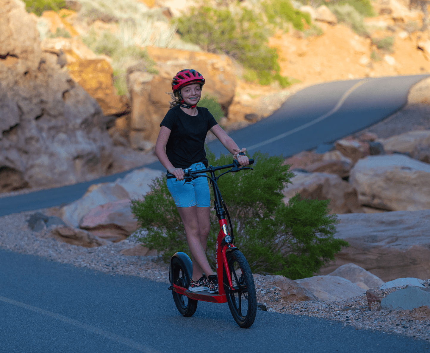 Badger Electric Scooter