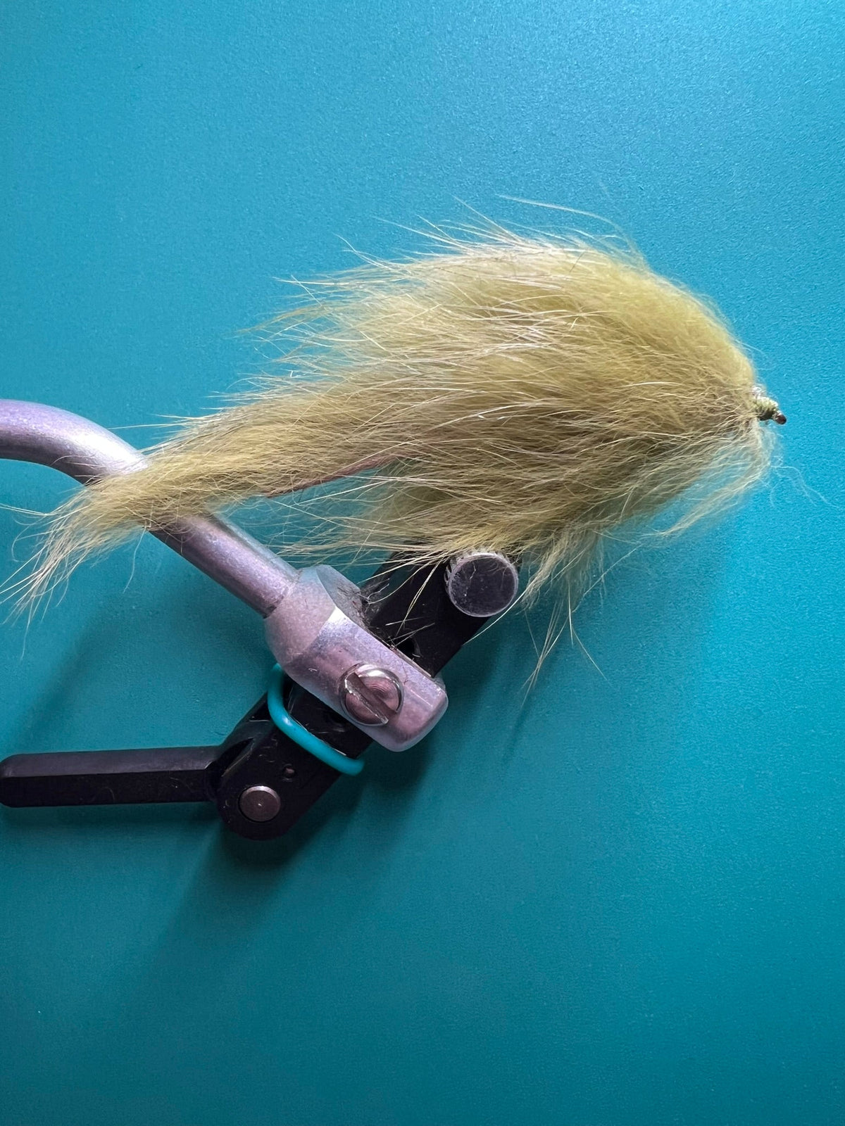 Bunny Leech - Olive
