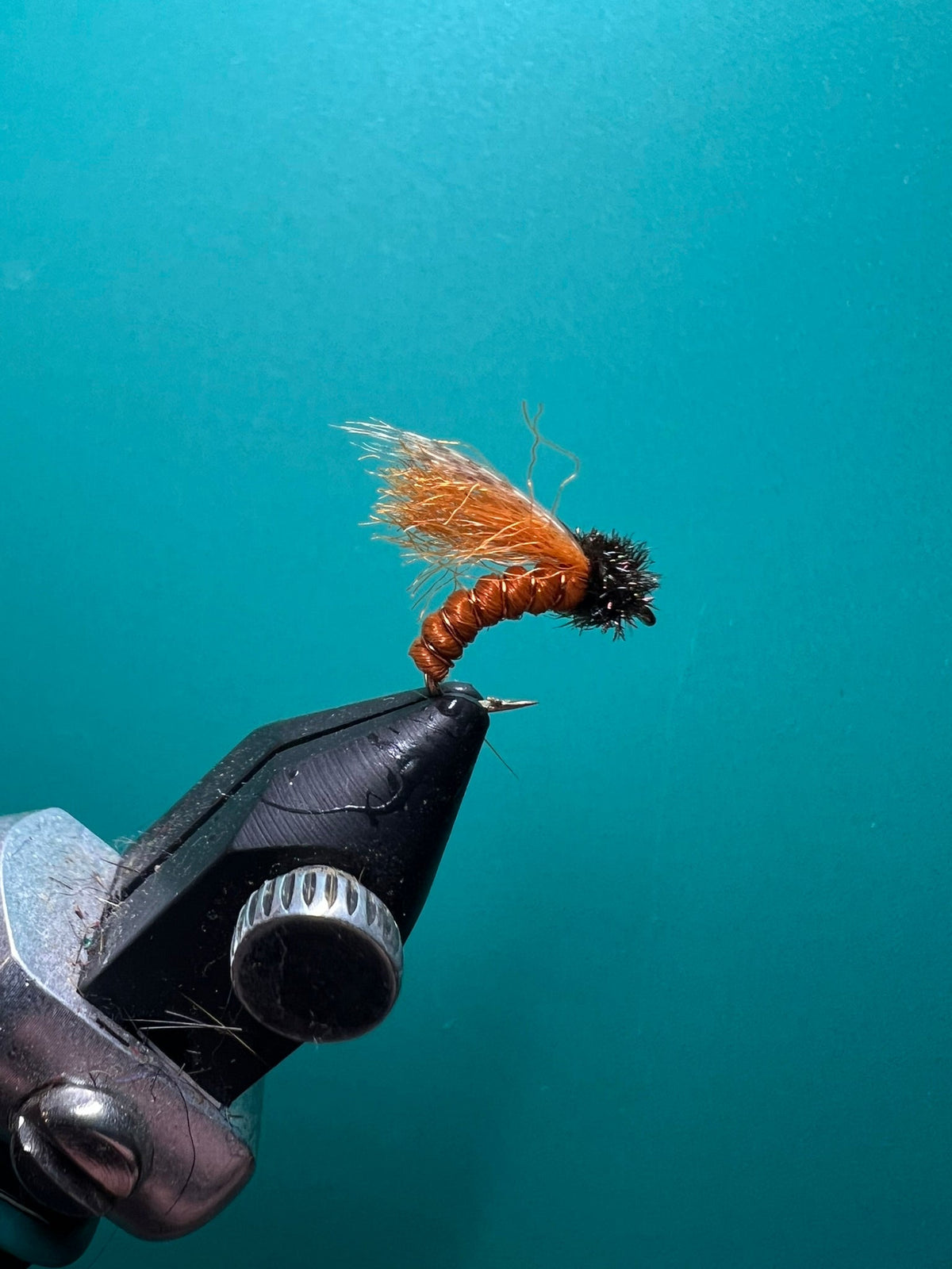 Caddis Emerger