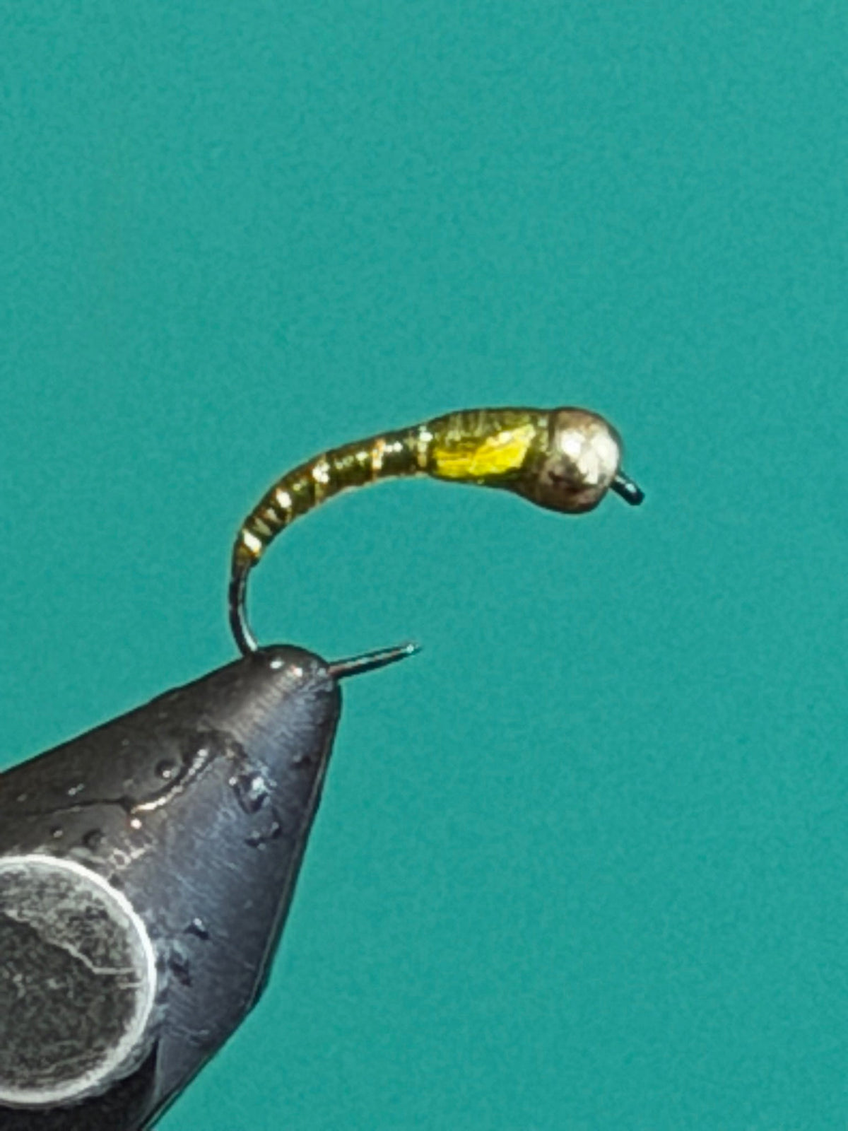 Chironomid - Olive