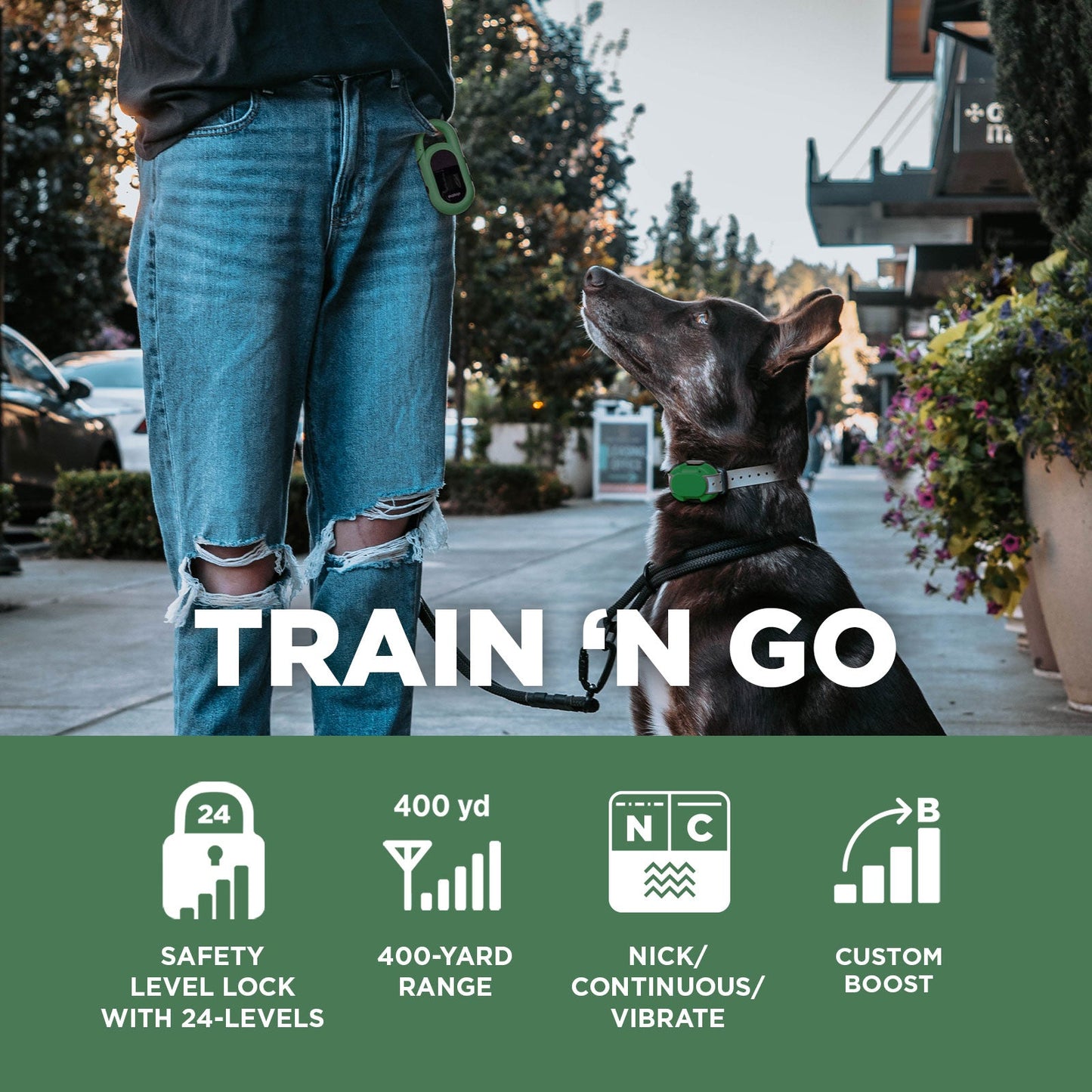 Dogtra CUE Add-On Collar