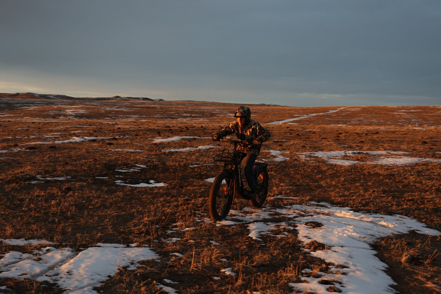 Grizzly Electric Scooter