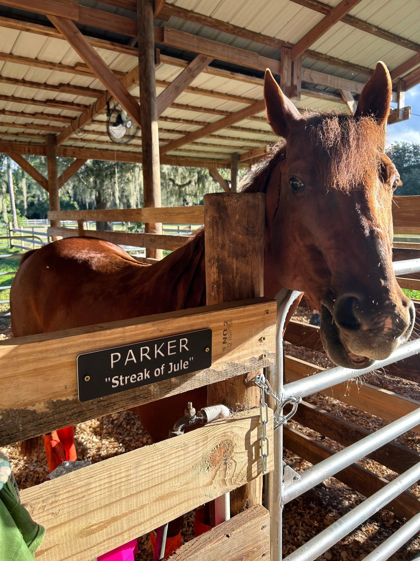 Custom Stall Signs 10 x 3 Inches