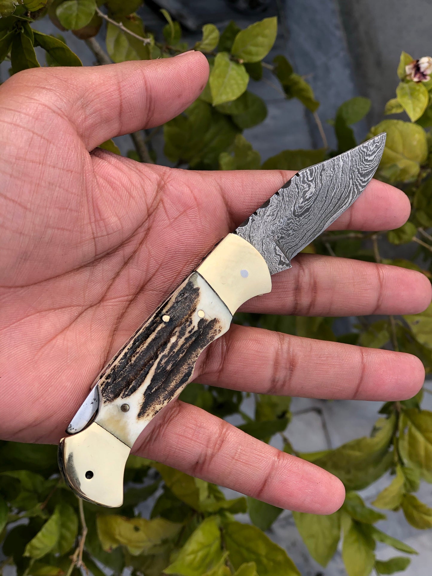 Custom Handmade Damascus Steel Folding Pocket Knife with Antler Horn and Brass Bolsters Handle and Leather Case - For Sale by KBS Knives Store