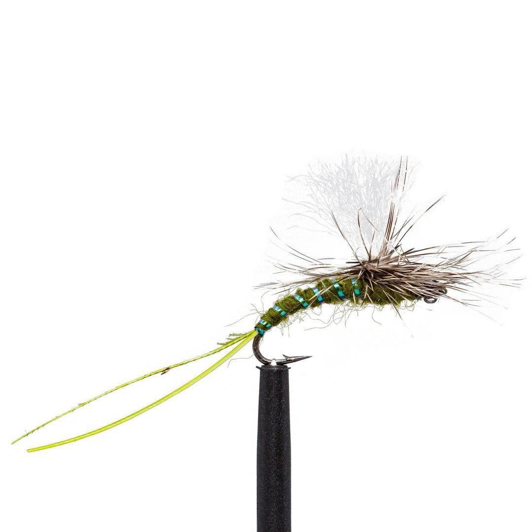 JHFLYCO Loaded Foam Fly Box - Standard Dry Fly Assortment