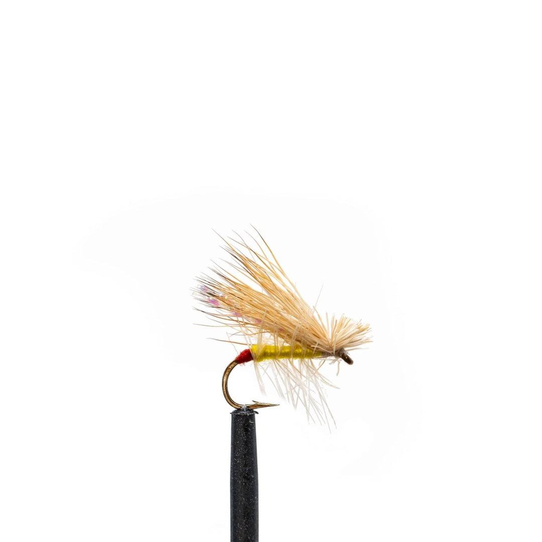 JHFLYCO Loaded Foam Fly Box - Standard Dry Fly Assortment