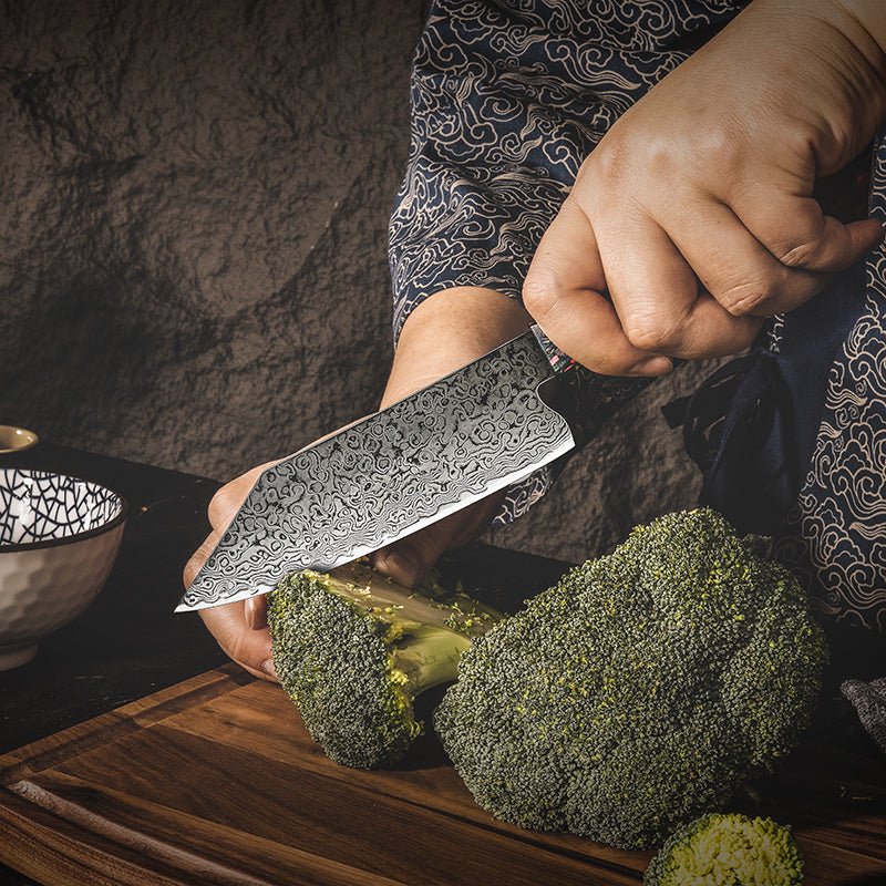 Pristine VG10 Chef Knife 10.5" with Exotic Olive Wood & Resin Handle