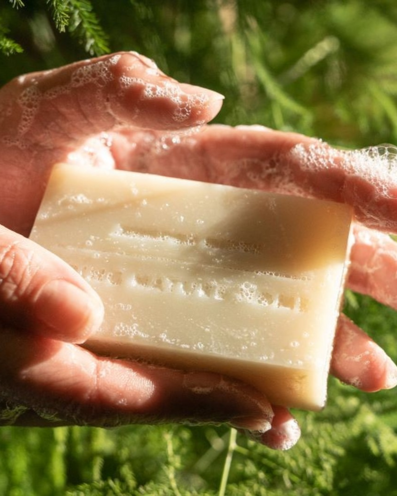 Cascade Forest Bar Soap 3-Pack