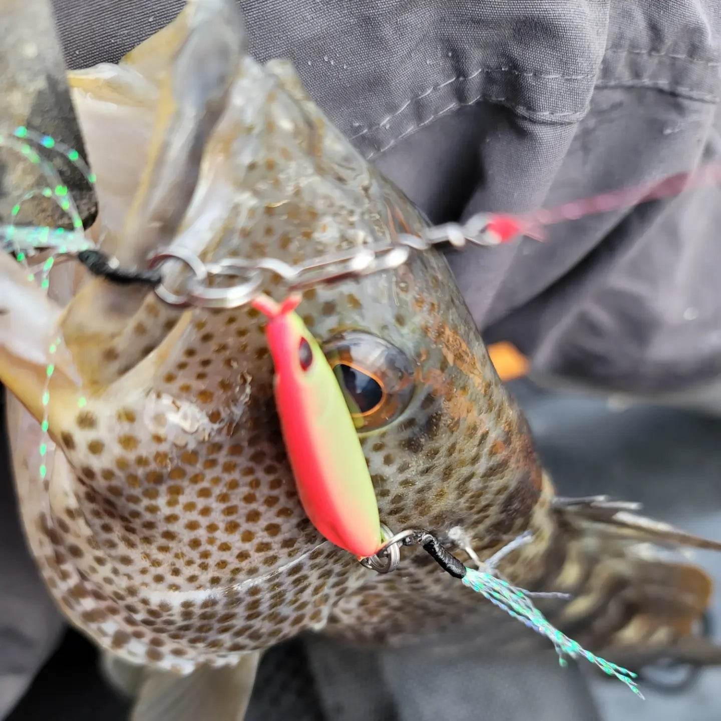 Submission Jigs - Sumo - Middleweight Slow Pitch Jigs