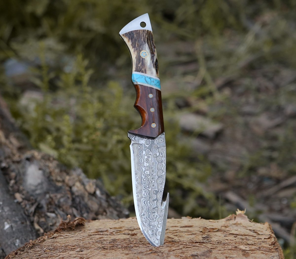 Thunder Damascus Gut Hook Knife with Stag Horn, Wenge Wood & Turquoise Handle