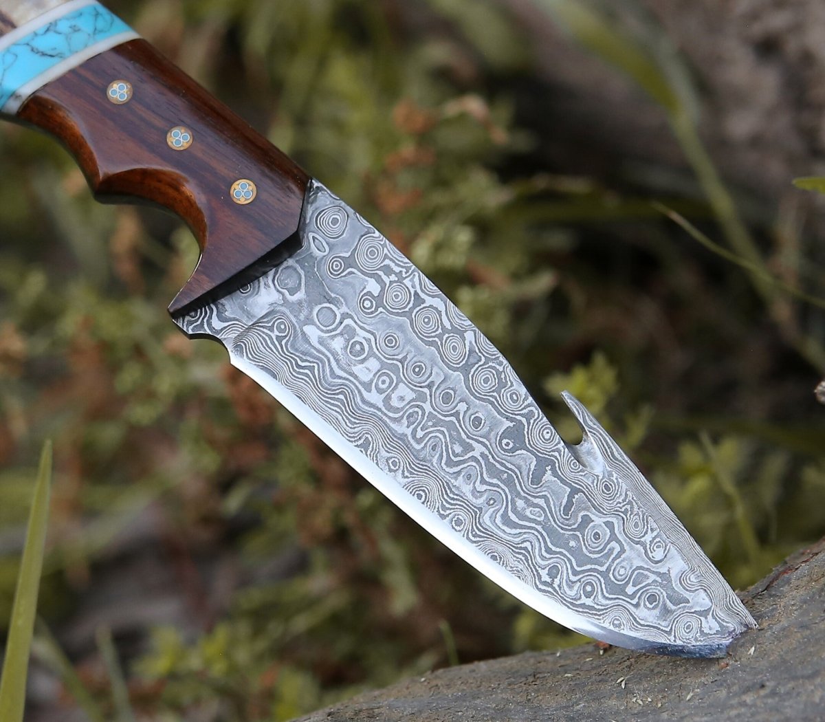 Thunder Damascus Gut Hook Knife with Stag Horn, Wenge Wood & Turquoise Handle