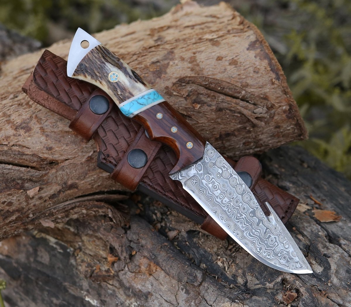Thunder Damascus Gut Hook Knife with Stag Horn, Wenge Wood & Turquoise Handle